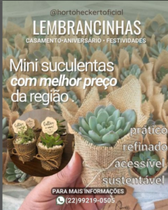 Cactos Suculentas e Plantas Ornamentais na Região dos Lagos