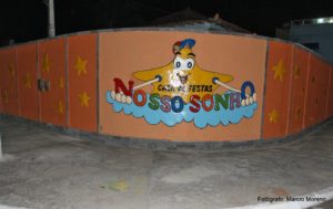 10702192 715801675182760 6419518034157355503 n 300x189 - Mini Curso Viver de Buffet Infantil